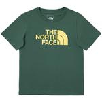 Футболка для детей 3-7 лет THE NORTH FACE, зеленый - фото