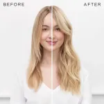 Схема увеличения объема Christophe Robin - фото 4