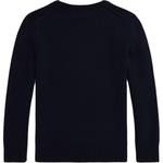 Детский свитер Polo Ralph Lauren, синий - фото 2