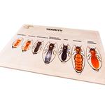 Виды термитов, деревянная головоломка, термиты Inna marka - фото 2