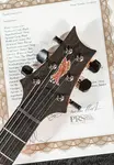 Paul Reed Smith Private Stock Custom 24-08 - фото 15
