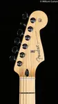 Fender Player Series Stratocaster черный клен (852) - фото 5
