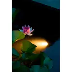 Прудовый светильник AquaSpotlight 60 Ubbink, белый - фото