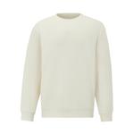 ESSENTIAL серии свитер мужской DESCENTE, белый - фото