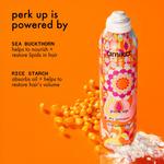 Сухой шампунь Perk Up amika, 2.5 oz - фото 3