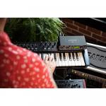 Аудио-MIDI-интерфейс MOTU M4 USB-C - фото 7