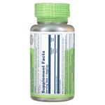 Solaray, True Herbs, зеленый чай, 450 мг, 100 вегетарианских капсул - фото 2