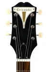 Новая Epiphone Crestwood Custom Polaris White с тремоло-струнодержателем #22071529735 - фото 5
