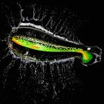 CAPERLAN Мягкая приманка Shad Rogen 200 Pike Firepike 1 шт. - фото 3