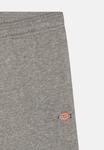 Спортивные брюки Youth Mapleton Unisex Dickies, цвет heather grey - фото 3