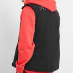 Жилет унисекс Vans, цвет Black - фото 4