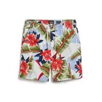 Шорты Superdry Bermuda cargo, разноцветный - фото 3