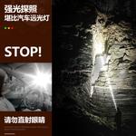 Фонарь для кемпинга Outdoor Lightings PHILIPS - фото 3