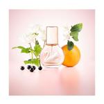 Мисс Ванде 100 мл Vanderbilt - фото 3