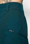 Лыжные брюки Adidas Terrex PANT, Aurora Ivy/Dark Green - фото 7