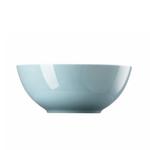 Миска для хлопьев Sunny Day Soft Blue, 15 см Thomas, белый синий - фото