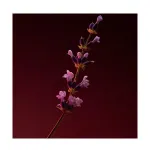 Духи Boss Scent Elixir Hugo Boss - фото 5