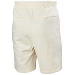 Шорты Helly Hansen Core, бежевый - фото 4