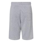 Флисовые шорты Triblend J. America - фото