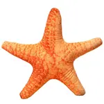 Мягкая милая кукла Creative Soft Cute Shell Bitter purchase - фото