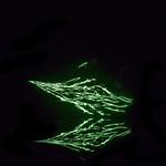 ONOD Детские беговые кроссовки Gilded Black - фото 3