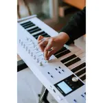 MIDI-контроллер Arturia KeyLab Essential 88 mk3 Белый - фото 9