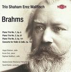 CD диск Brahms, J. / Shaham, Hagai / Raiskin, Daniel: Brahms: Works For Piano Trio - фото