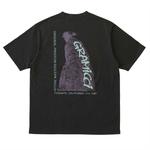 Футболка Cotton Stonemasters с принтом Gramicci, белый - фото 8