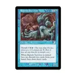 CCG Выживший в бурном потоке (U), MTG - Scourge - фото