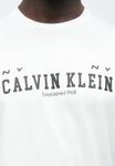 Футболка Calvin Klein Jeans COLL WORD , Brilliant White/White - фото 6