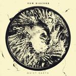 Виниловая пластинка Sow Discord: Quiet Earth - фото