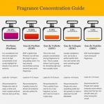 Парфюмированная вода Alexander J Silver Ombre - фото 3