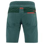 Брюки Karpos Dolada, зеленый - фото 2