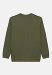 Толстовка Quiksilver BASIC CREW YOUTH UNISEX, Four Leaf Clover/Olive - фото 2