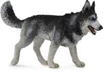 Collecta, Коллекционная статуэтка, Собака сибирский хаски - фото