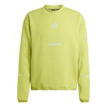 Adidas Зеленый мужской свитшот - фото