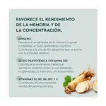 Жевательные конфеты для улучшения памяти Memoria Kneipp, 60 UD - фото 5