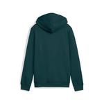 Детская толстовка с капюшоном Puma Essentials 2 - фото 2