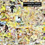 Omaninkogu Report (CreateSpace Independent Publishing Platform) - фото