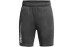 Дети Шорты Under Armour, темно-серый - фото