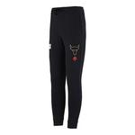 Брюки project rock cny pants 'black' Under Armour, черный - фото