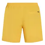 Шорты для плавания O´neill Vert 16´´, желтый - фото 2