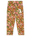 Хлопковые спортивные штаны Chamaleon The Animals Observatory, разноцветный - фото