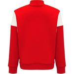 Детский свитшот DESCENTE, красный - фото 5