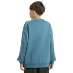 Детская толстовка Cornell 90s Element, синий - фото 2