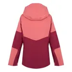 Куртка Regatta Wentwood IX, красный - фото 4