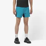 Мужские шорты Salomon Cross 5'', синий - фото