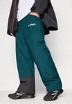 Лыжные брюки Adidas Terrex PANT, Aurora Ivy/Dark Green - фото 5
