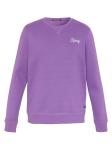 Толстовка CHIEMSEE, фиолетовый - фото