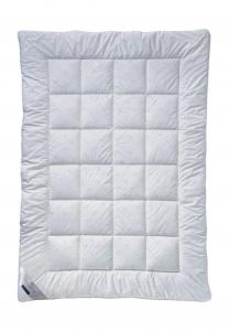 Пододеяльник Е21 Король Billerbeck